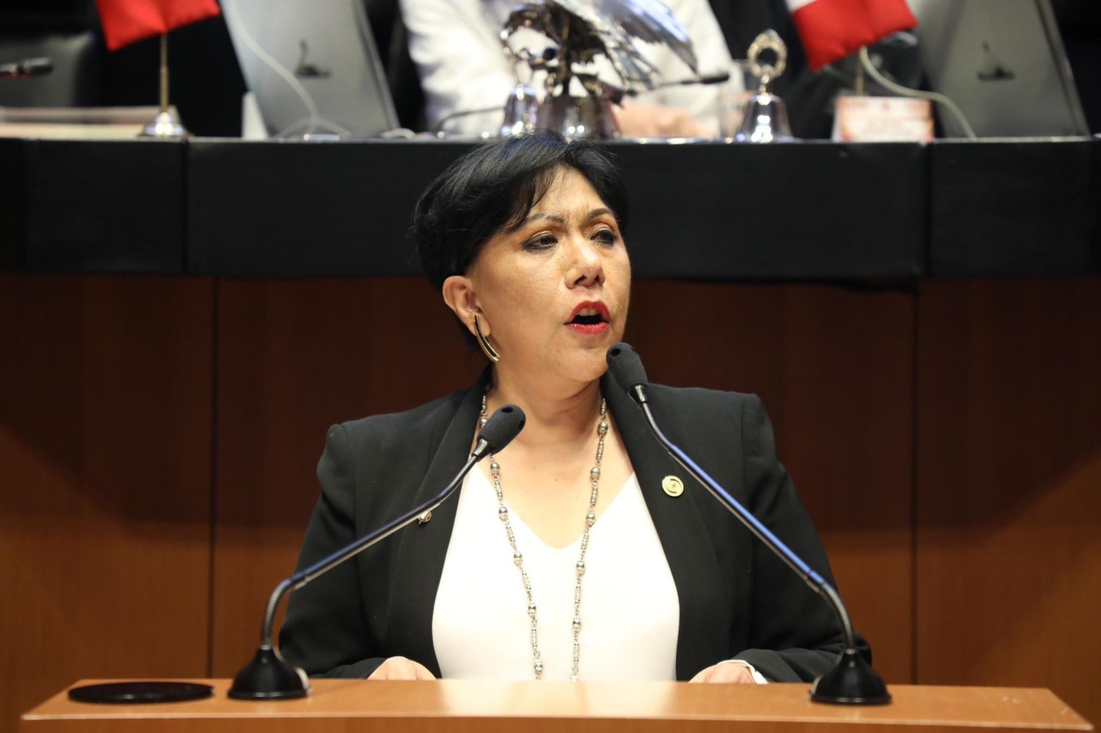 Aboga Anabell Ávalos Zempoalteca por el derecho a estancias infantiles, en la máxima tribuna del país